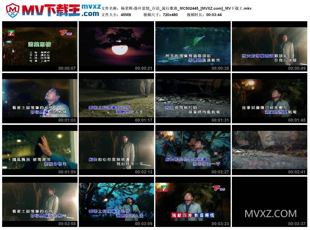 杨荣辉-落叶思情_台语_流行歌曲_MC502445